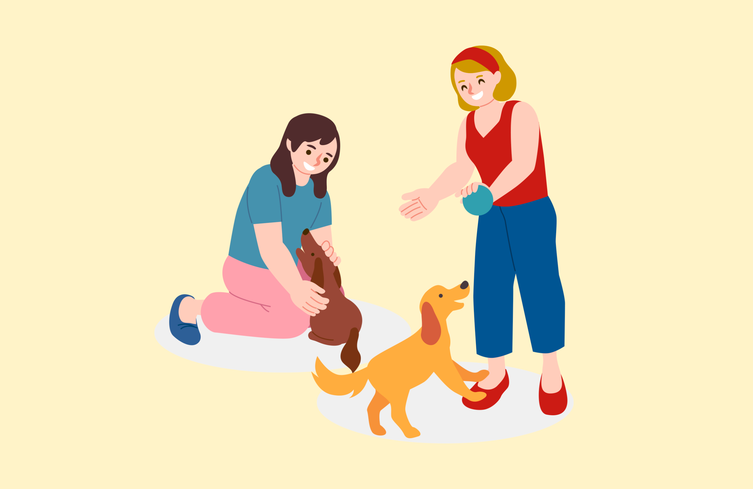 25+-Present-Ideas-for-Animal-Lovers-for-their-pet. 25+-Present-Ideas-for-Animal-Lovers-for-their-pet.